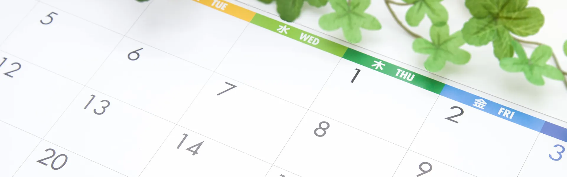 国分寺で膝の痛み改善 日常動作を取り戻す整体アプローチ